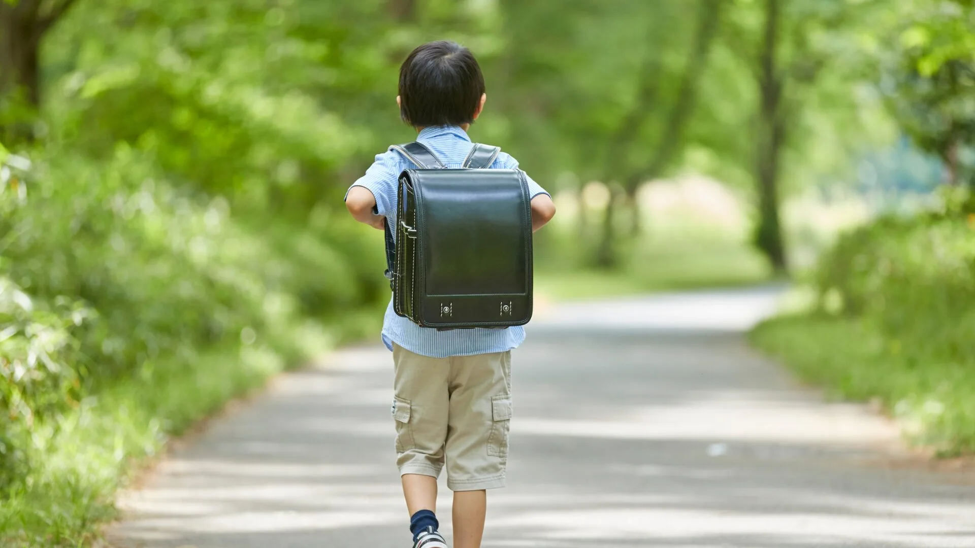 ランドセルを背負い、緑豊かな道を歩く男の子の後ろ姿